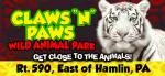 Claws N Paws Promo Code 